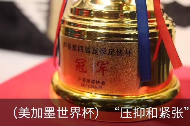 （美加墨世界杯）“压抑和紧张”中的伊朗队首秀